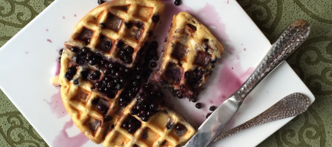 Tangerine Blueberry Waffle