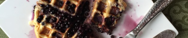 Tangerine Blueberry Waffle